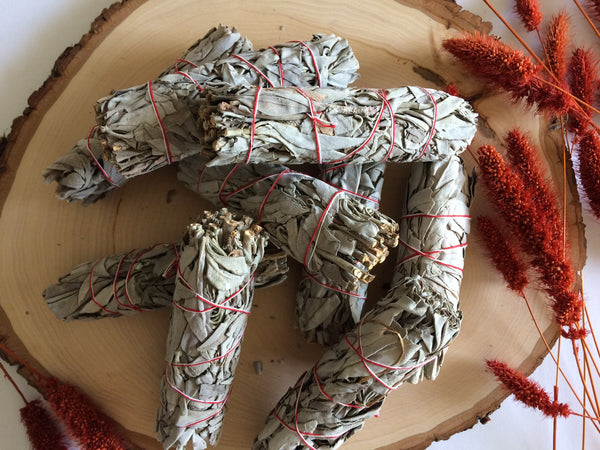 White Sage ~ Bundle
