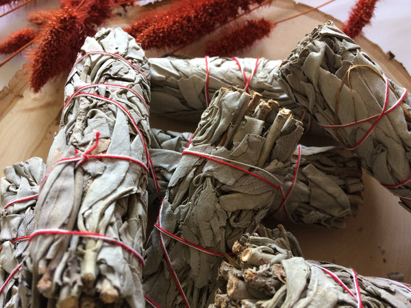 White Sage ~ Bundle